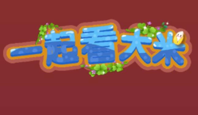 一起看大米 一起看大米