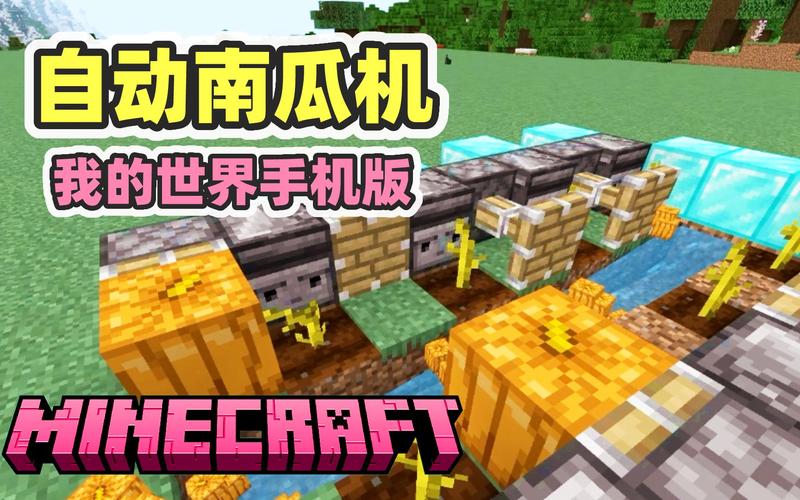 我的世界自动收南瓜机