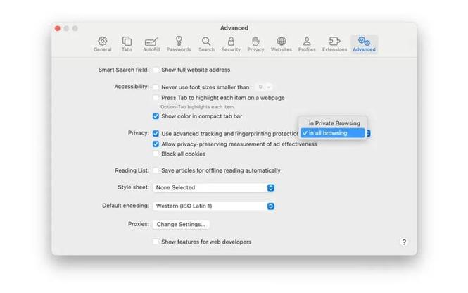 safari 设置
