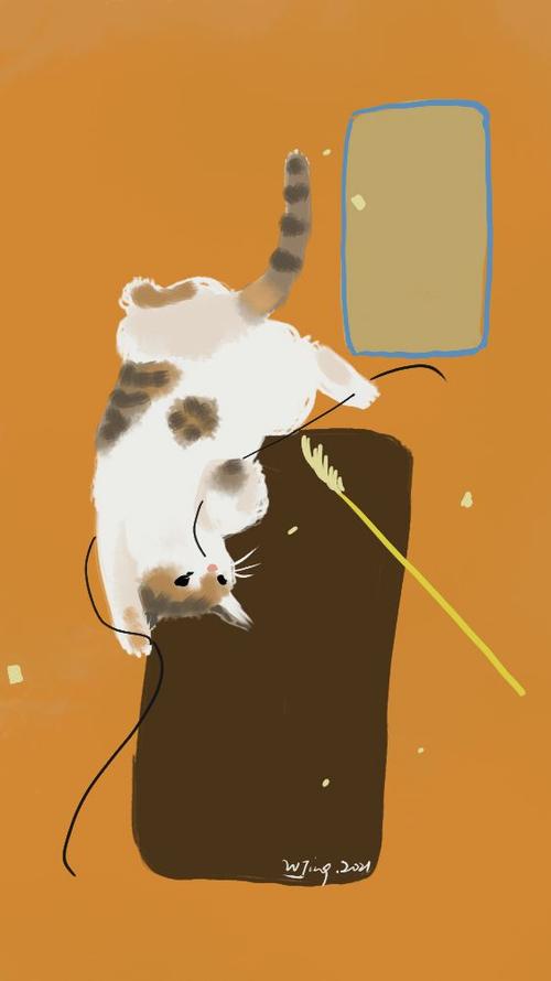 失重猫