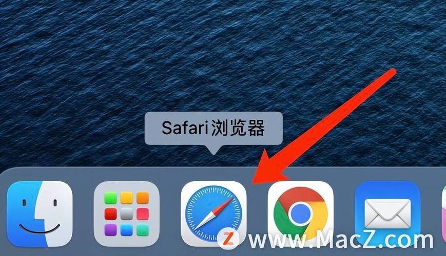 safari 设置