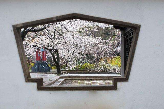 窗边花园