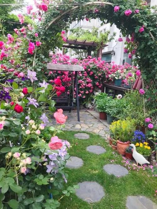 窗边花园 窗边花园