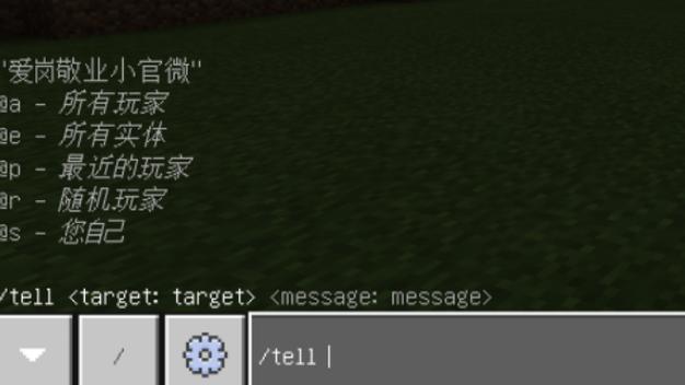 我的世界悄悄话指令