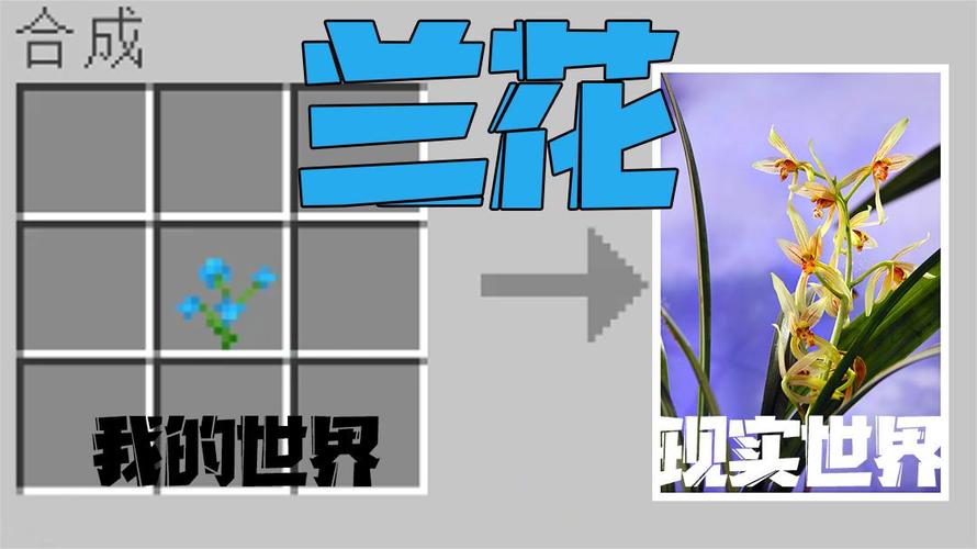 我的世界兰花在哪