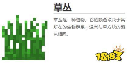 我的世界干草