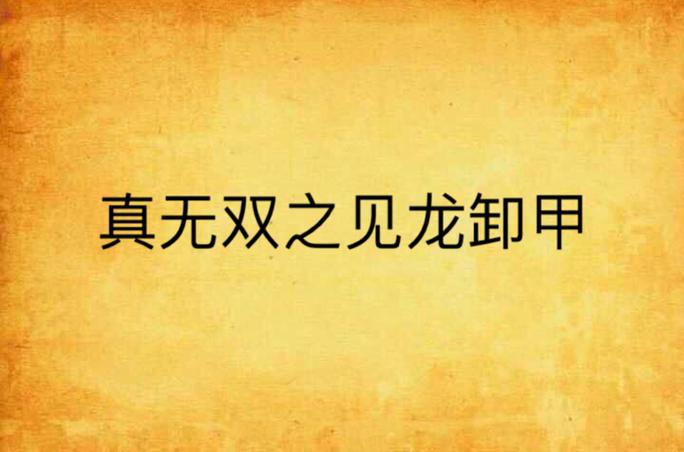 无双之见龙卸甲 无双之见龙卸甲