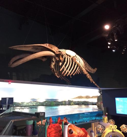 多多水族馆 多多水族馆