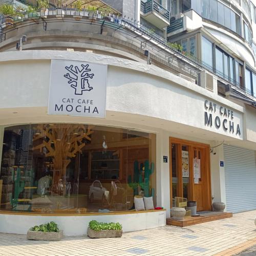 猫咪咖啡店