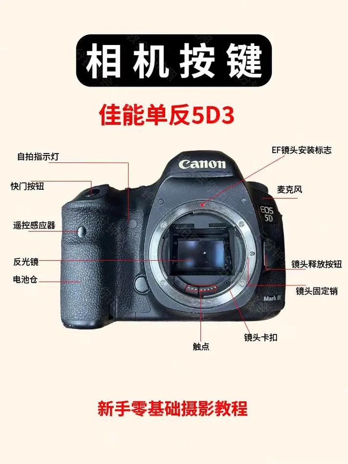 佳能5d3设置