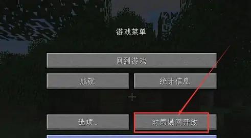 我的世界需要网络吗