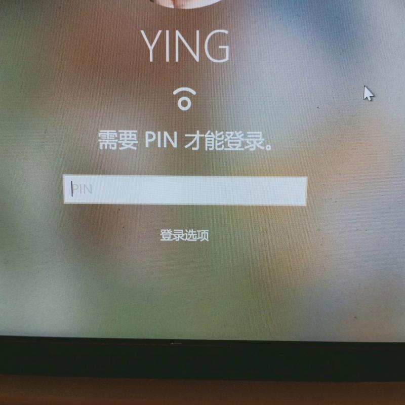 电脑pin设置