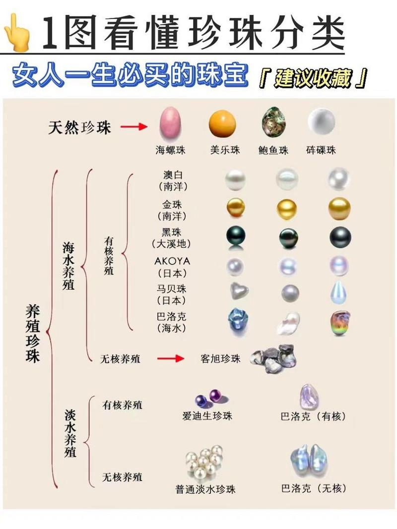 珠子分类