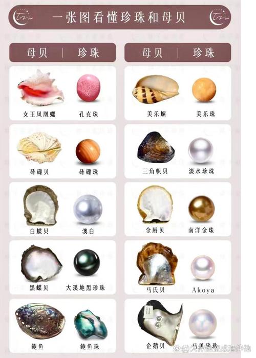 珠子分类 珠子分类