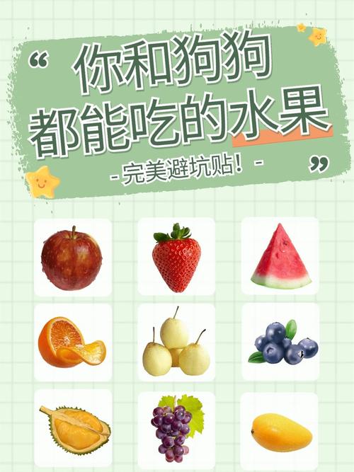 禁食和水果 禁食和水果