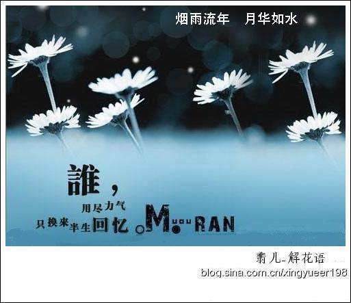 烟雨流年