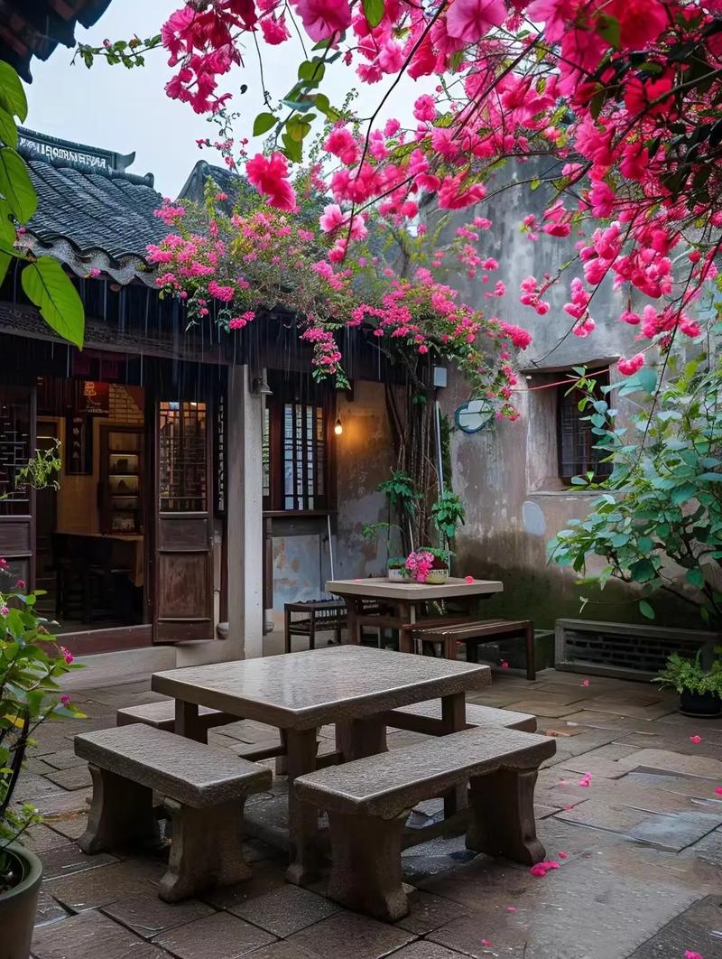 每天有小院