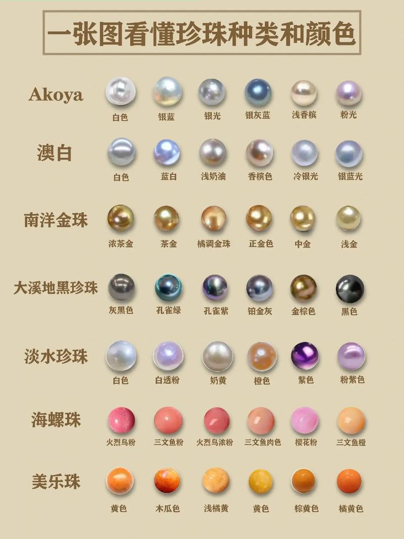 珠子分类