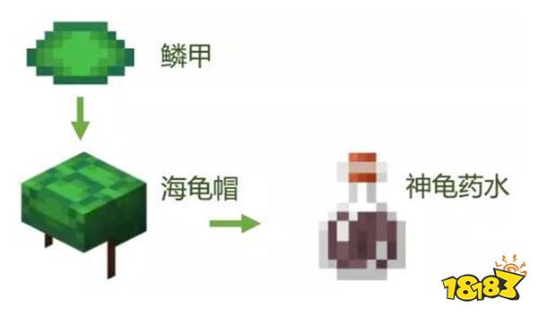 我的世界海龟有什么用