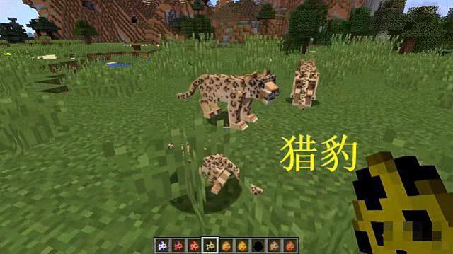 我的世界猎豹怎么驯服