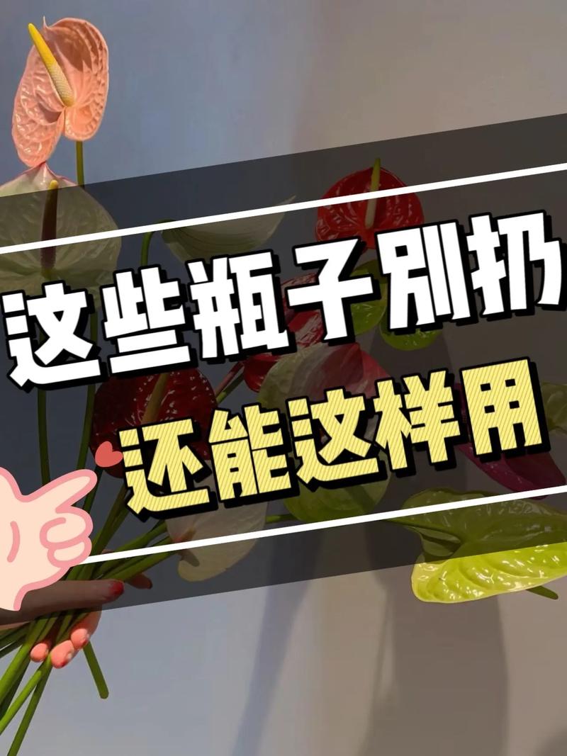 不要乱扔瓶子