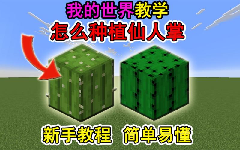我的世界仙人掌怎么种