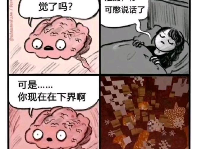 笑话我的世界