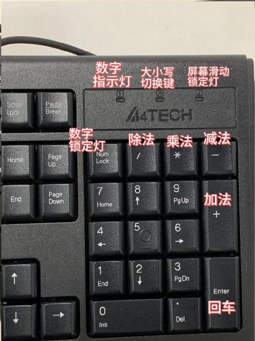 主键怎么设置