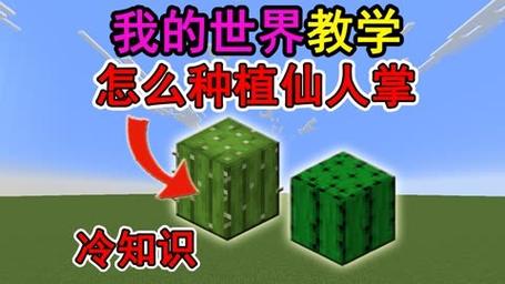 我的世界仙人掌怎么种