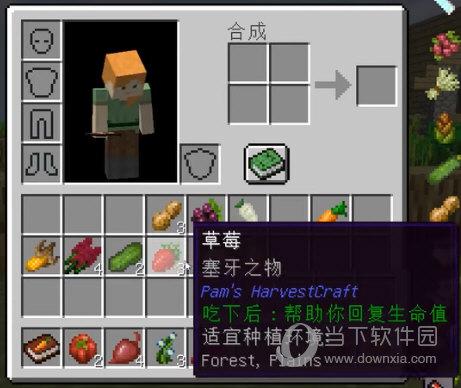我的世界生活调味料