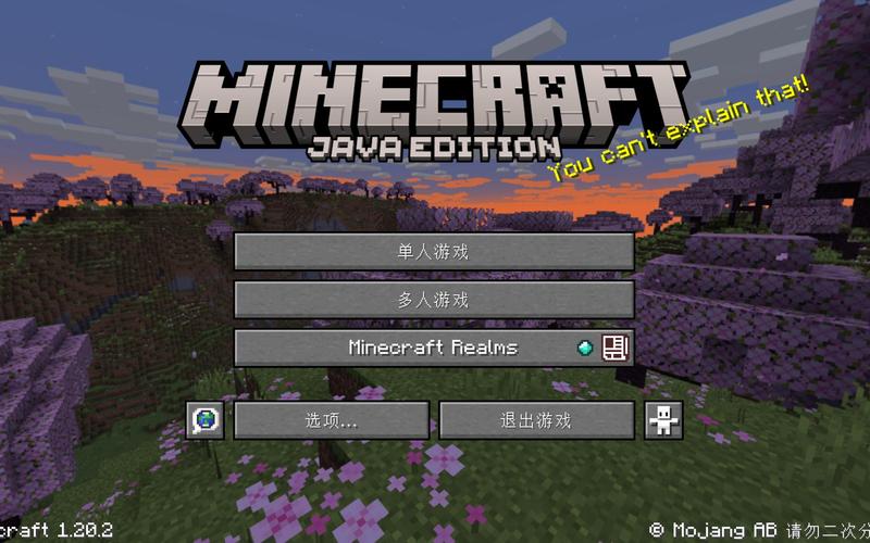 我的世界进阶