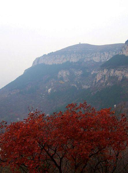 滚球山