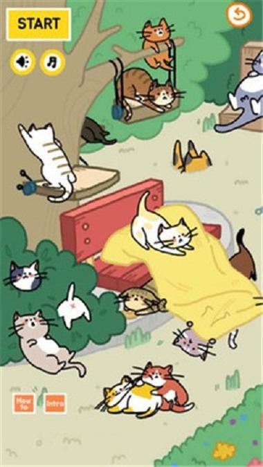 救援猫咪找地雷 救援猫咪找地雷