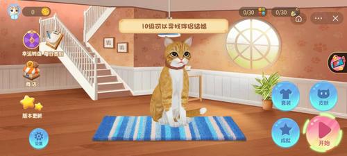猫咪生存模拟