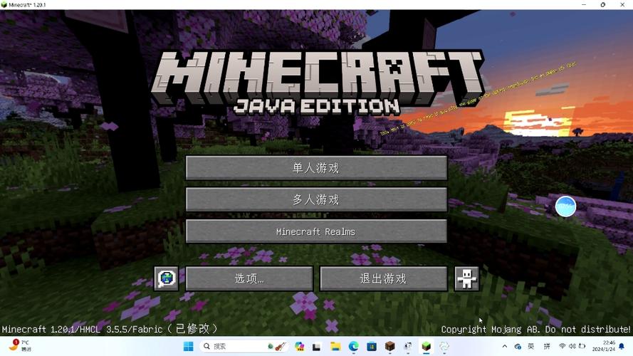 我的世界java版 我的世界java版