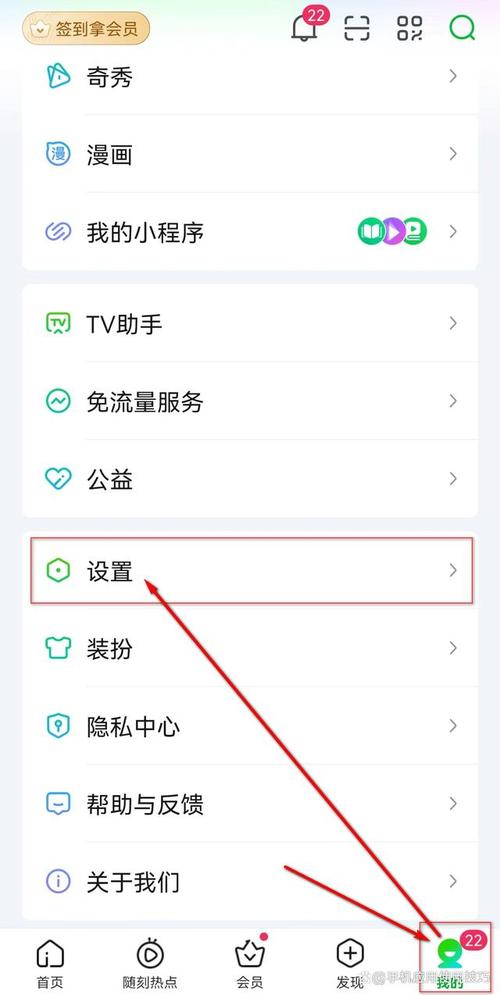 爱奇艺设置在哪里