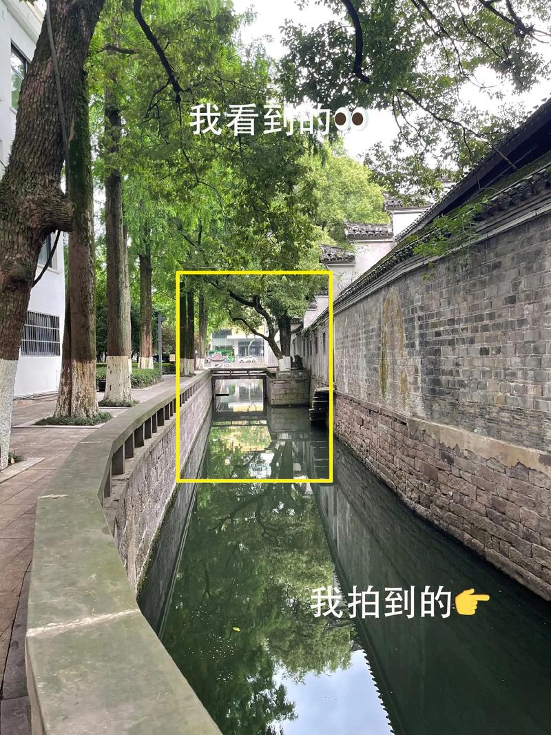 拍摄视频的技巧远拍和近拍的区别有哪些?如何用虚拟背景?