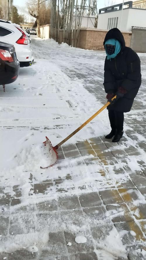 雪地清洁 雪地清洁