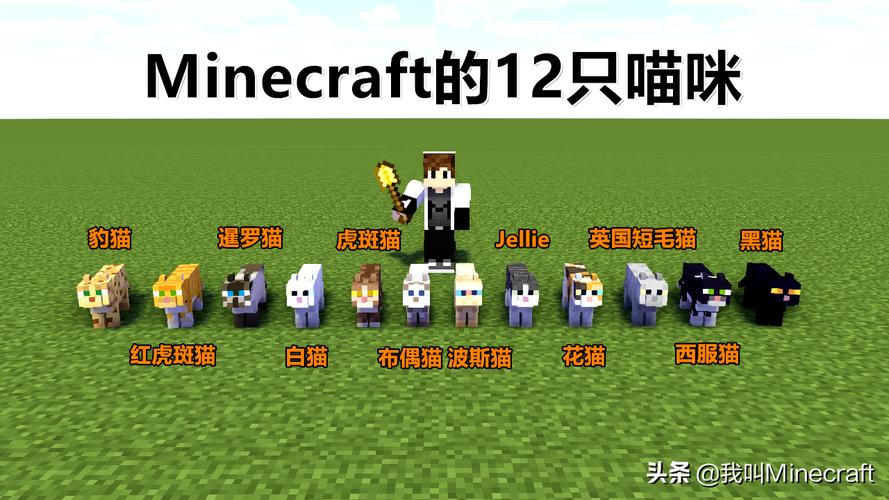 我的世界怎么驯养猫