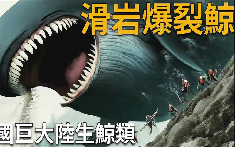 鲸鱼踪迹狂暴