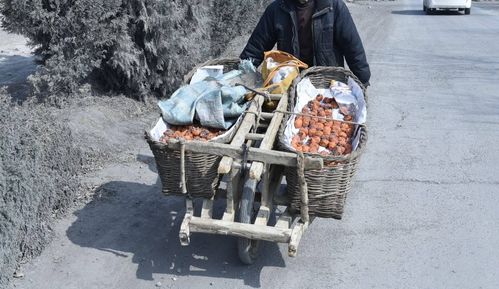 喜剧独轮车 喜剧独轮车