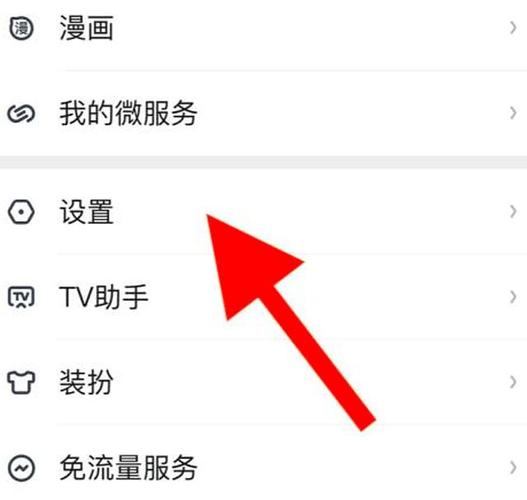 爱奇艺设置在哪里