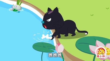 小猫泡泡