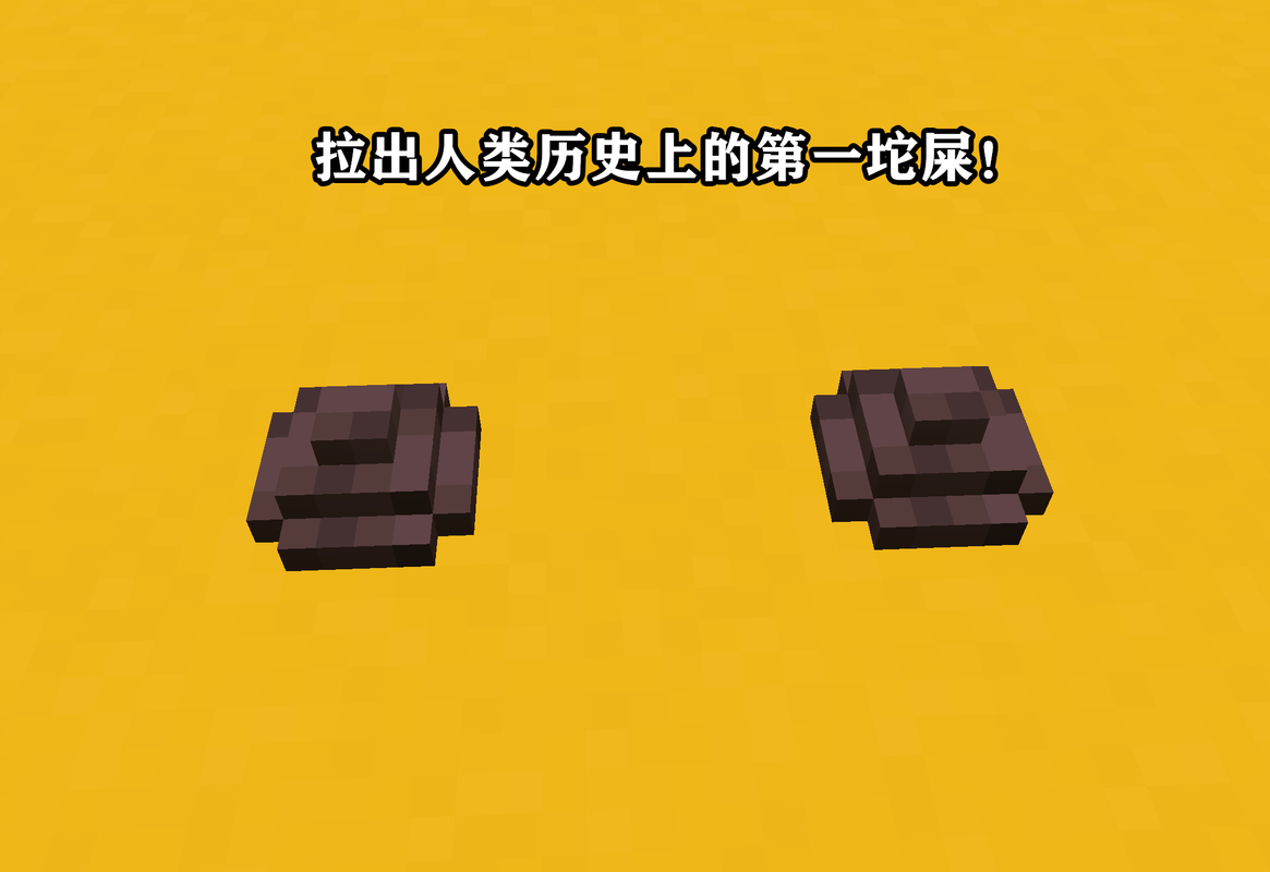 我的世界大便