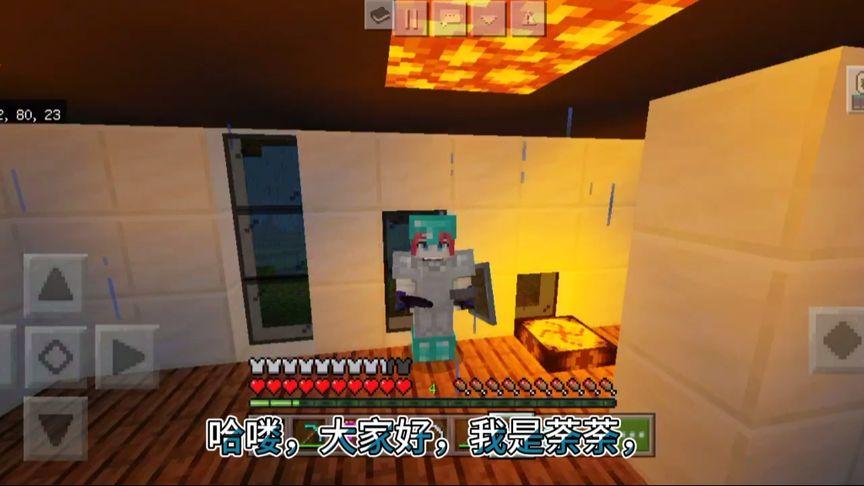 我的世界荼荼