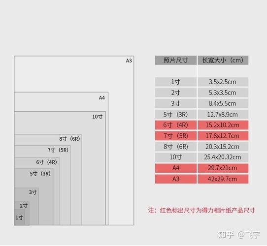打印设置纸张大小