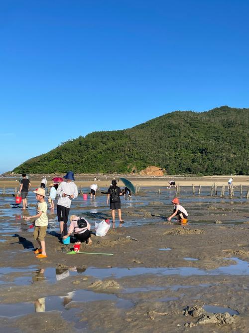 实况赶海