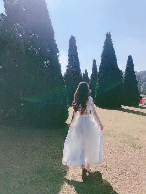 城堡女士丛林奔跑