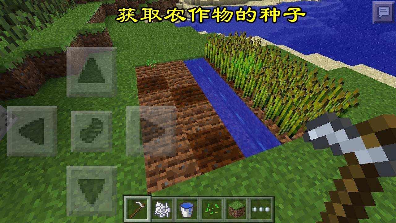 我的世界浇水