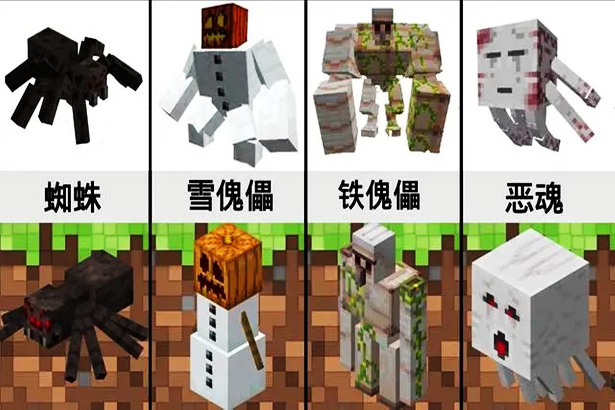 我的世界体型